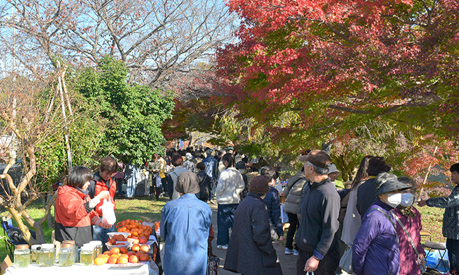 斑鳩町紅葉まつり