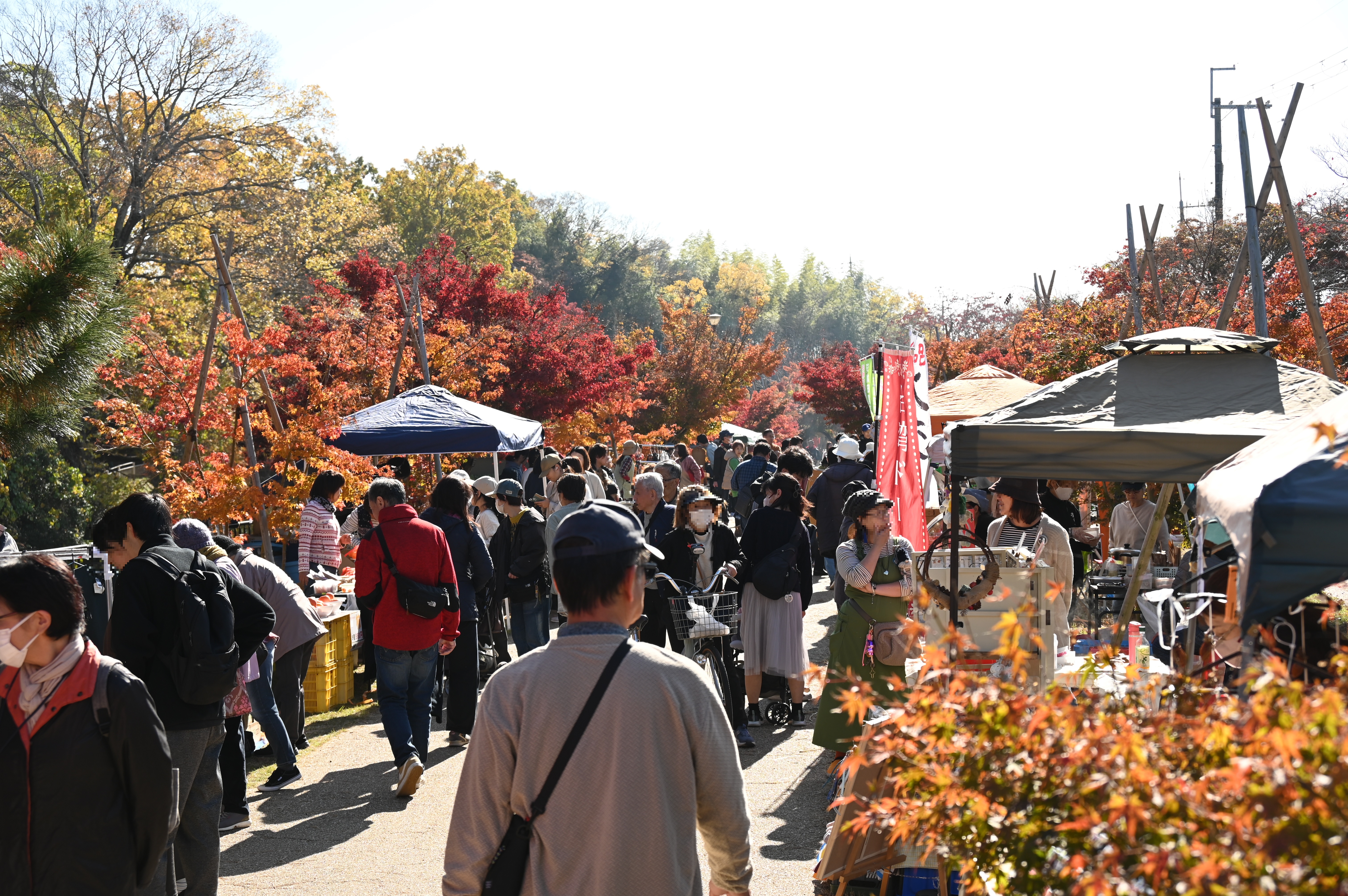 斑鳩町紅葉まつり